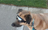 Dog Sunglasses/Goggles, UV Eye Wear Protection Windproof Dustproof Fog proof with Adjustable Strap for Medium/Large Dogs