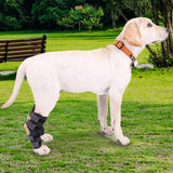 Support Brace for Hind Leg Hock Joint Wrap ACL/CCL Breathable Leg Support